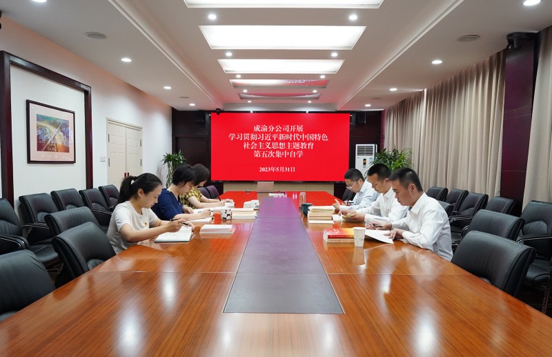 公司開展學習貫徹習近平新時代中國特色社會主義思想主題教育第五次集中自學