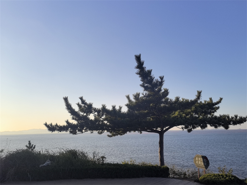 獨(dú)樹(shù)湖+成都管理處+劉城辰